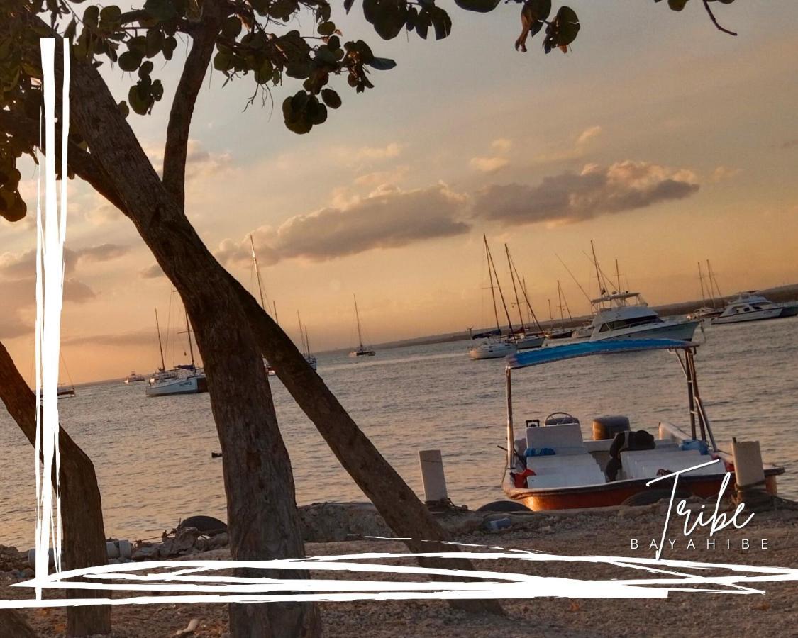 Tribe Inn Jungle & Flamingo Bayahibe Zewnętrze zdjęcie